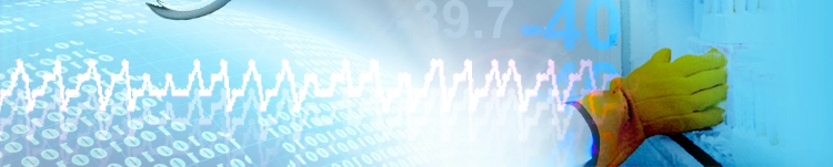 FDA temperature monitoring chart header 