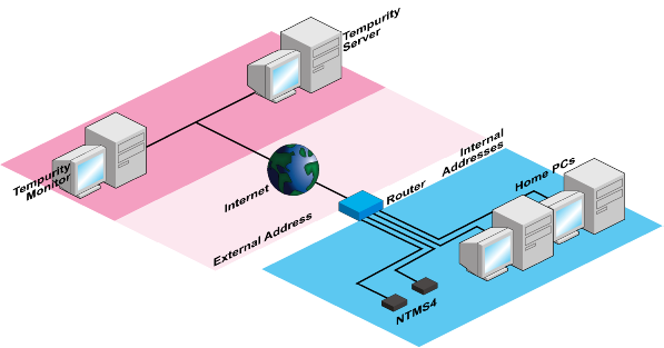 One Possible Tempurity System network diagram - pink shows corporate network - blue shows external network