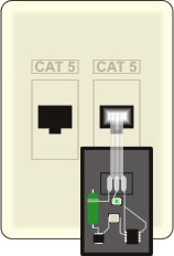 Wallplate with TPL3 digital temperature sensor